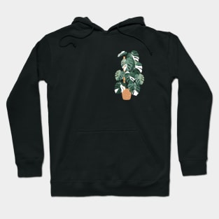 Monstera variegated plant Hoodie